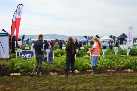A scene of Potatoes in Practice 2021