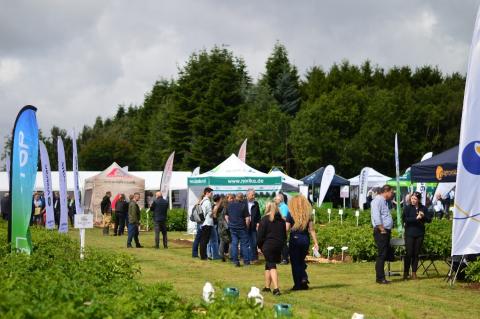 image of field with field plots of potatoes, exhibitor gazebos and attendees engaging. Feather flags dotted around site. 